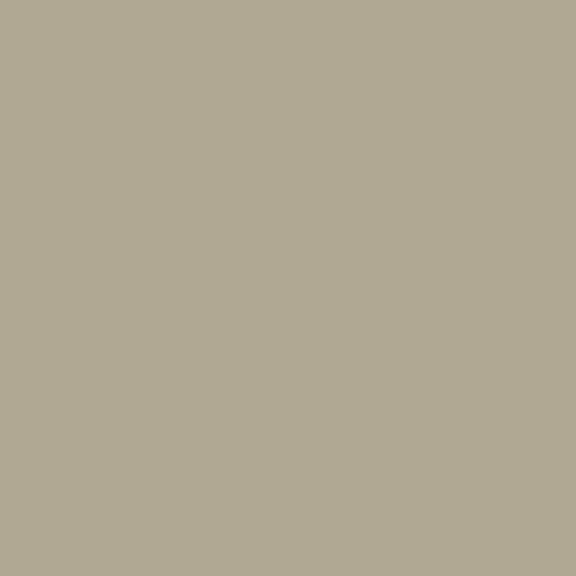 0072_A4_Web (1).jpeg