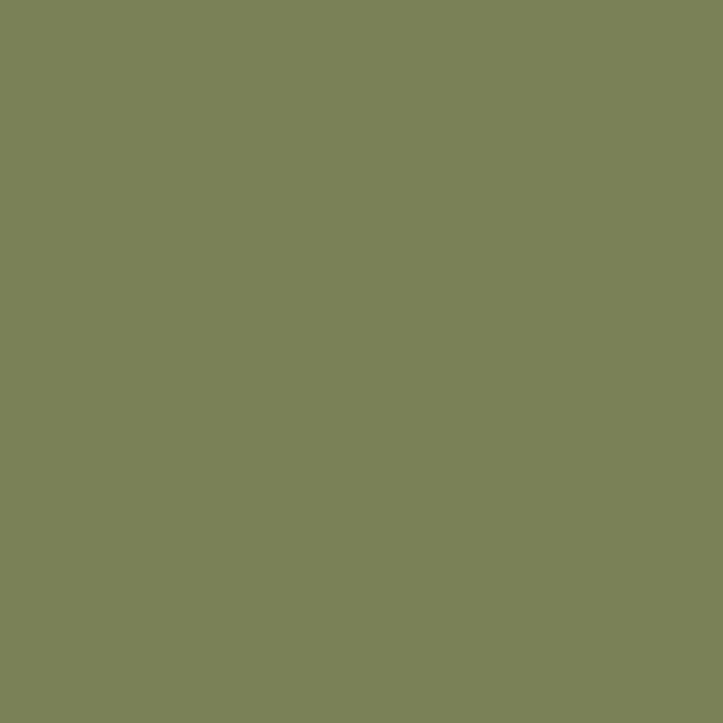 Fundermax-0041-Tortuga (1).jpeg