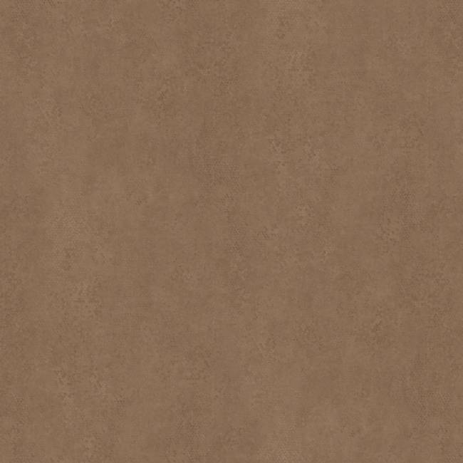 323 (1).jpeg