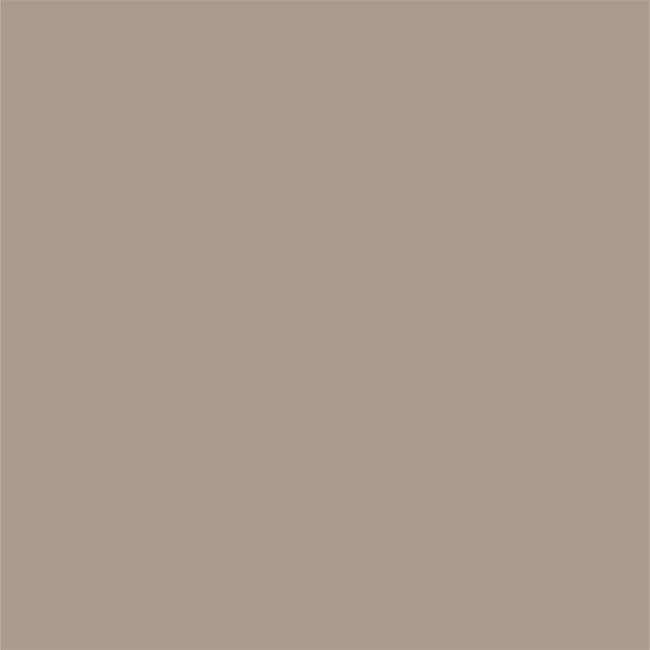 d216-latte.jpeg
