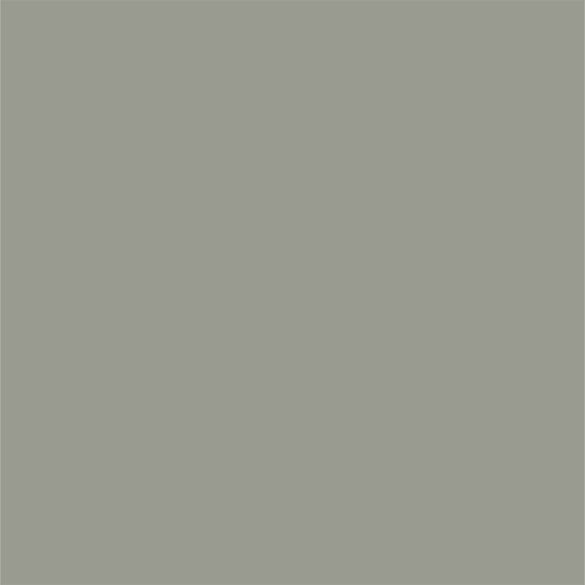 d259-ash-green.jpeg