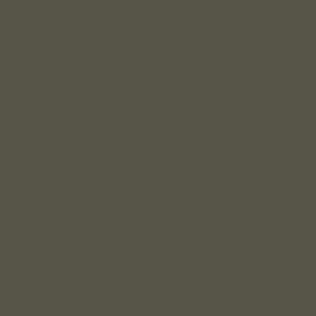 5883-PETMATT-SMOKE-GREEN-jpg.jpeg